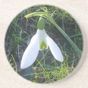 Snowdrop Untersetzer