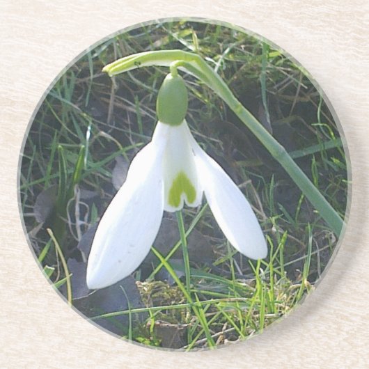 Snowdrop Untersetzer (Vorne)