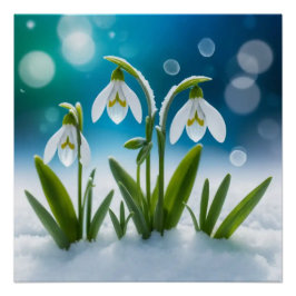Snowdrops #2 Wall Art Poster