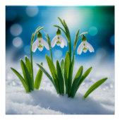 Snowdrops #3 Wall Art Poster (Vorderseite)
