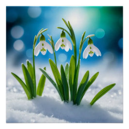 Snowdrops #3 Wall Art Poster