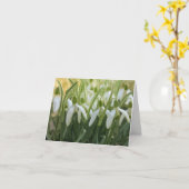 Snowdrops Blank Notecard Karte (Gelbe Blume)