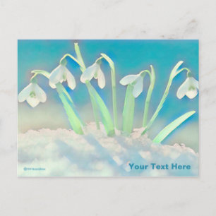Snowdrops Blue Postkarte