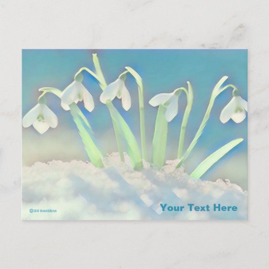 Snowdrops Blue Postkarte (Vorderseite)