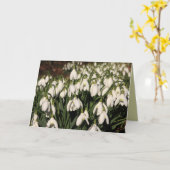 Snowdrops Card Karte (Gelbe Blume)