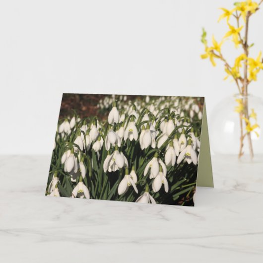 Snowdrops Card Karte (Gelbe Blume)