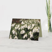 Snowdrops Card Karte (Vorderseite)