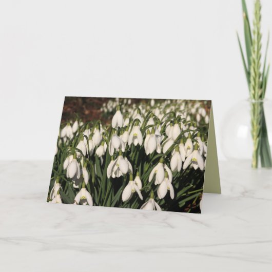 Snowdrops Card Karte (Vorderseite)