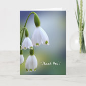 Snowdrops Danke Karte (Vorderseite)