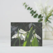 Snowdrops DIY Postkarte (Stehend Vorderseite)