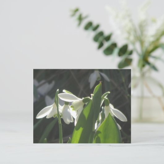 Snowdrops DIY Postkarte (Stehend Vorderseite)
