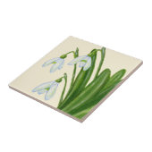 Snowdrops Fliese (Seite)