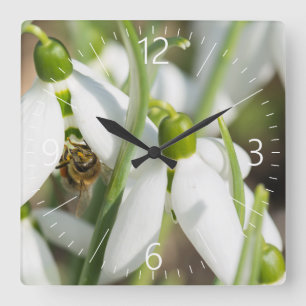 Snowdrops flowers quadratische wanduhr