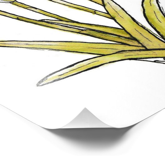 Snowdrops Fotodruck (Ecke)