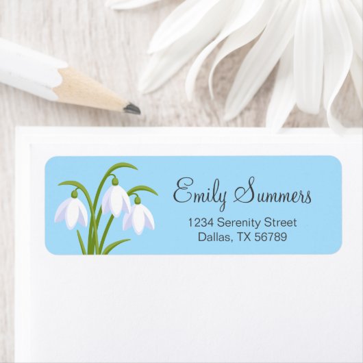 Snowdrops - Frühlingsblumen auf blau (Insitu)