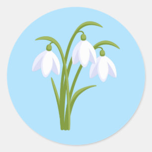 Snowdrops - Frühlingsblumen auf blau Runder Aufkleber