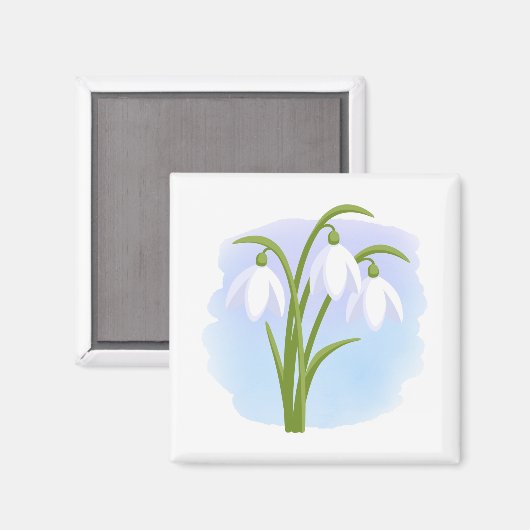 Snowdrops - Frühlingsblumen auf Wasserfarbe Blau Magnet (Vorderseite/Rückseite)