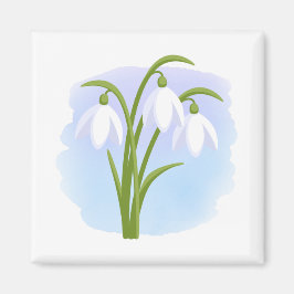Snowdrops - Frühlingsblumen auf Wasserfarbe Blau Magnet