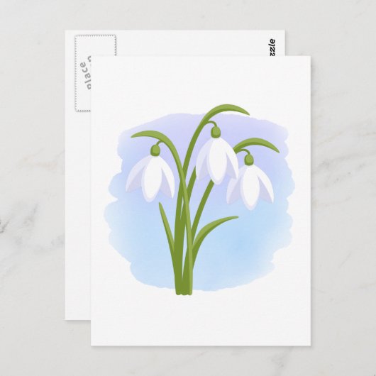 Snowdrops - Frühlingsblumen auf Wasserfarbe Blau Postkarte (Vorne/Hinten)