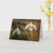 Snowdrops-Grüße Karte (Gelbe Blume)