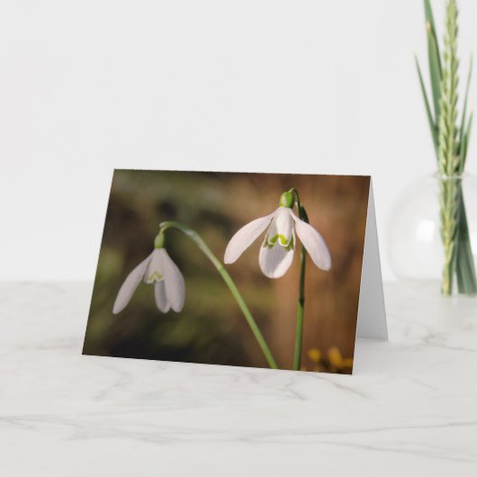 Snowdrops-Grüße Karte (Vorderseite)