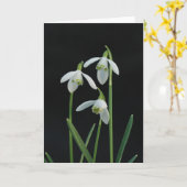 Snowdrops Grußkarte Karte (Gelbe Blume)