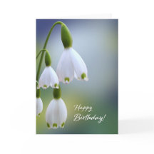 Snowdrops Happy Birthday Card