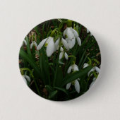 Snowdrops I (Galanthus) Weiße Frühlingsblumen Button (Vorderseite)