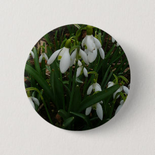 Snowdrops I (Galanthus) Weiße Frühlingsblumen Button