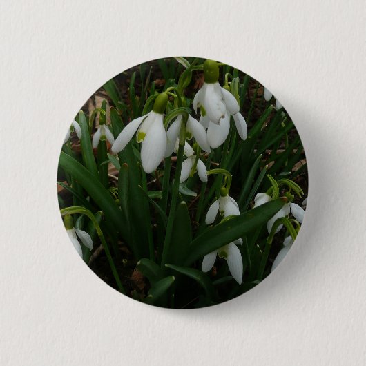 Snowdrops I (Galanthus) Weiße Frühlingsblumen Button (Vorderseite)