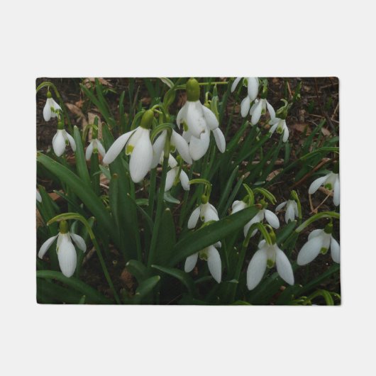 Snowdrops I (Galanthus) Weiße Frühlingsblumen Fußmatte (Vorderseite)