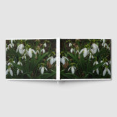 Snowdrops I (Galanthus) Weiße Frühlingsblumen Gästebuch (Voll)