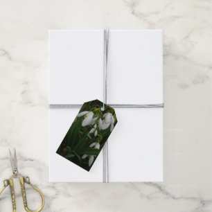 Snowdrops I (Galanthus) Weiße Frühlingsblumen Geschenkanhänger