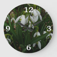 Snowdrops I (Galanthus) Weiße Frühlingsblumen