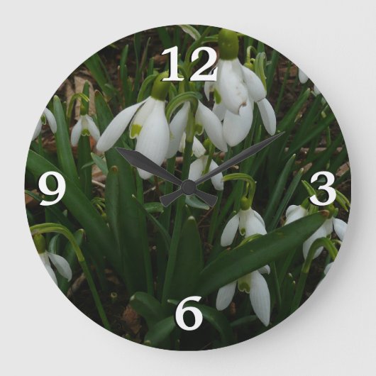 Snowdrops I (Galanthus) Weiße Frühlingsblumen Große Wanduhr (Vorderseite)