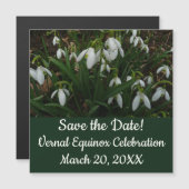 Snowdrops I (Galanthus) Weiße Frühlingsblumen Magnetkarte (Vorne/Hinten)