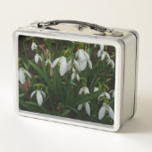 Snowdrops I (Galanthus) Weiße Frühlingsblumen Metall Brotdose (Rückseite)