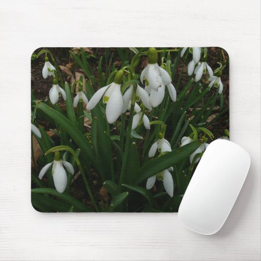 Snowdrops I (Galanthus) Weiße Frühlingsblumen Mousepad (Mit Mouse)