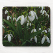 Snowdrops I (Galanthus) Weiße Frühlingsblumen Mousepad (Vorne)