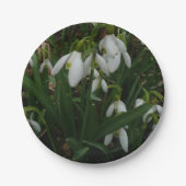 Snowdrops I (Galanthus) Weiße Frühlingsblumen Pappteller (Vorderseite)