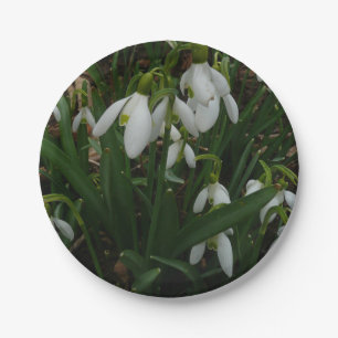 Snowdrops I (Galanthus) Weiße Frühlingsblumen Pappteller