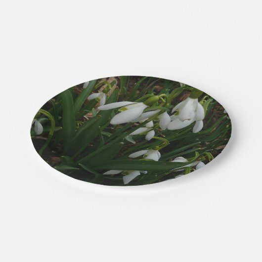 Snowdrops I (Galanthus) Weiße Frühlingsblumen Pappteller (Schrägansicht)