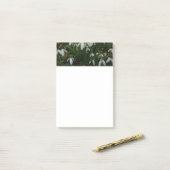 Snowdrops I (Galanthus) Weiße Frühlingsblumen Post-it Klebezettel (Auf Schreibtisch)