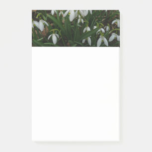 Snowdrops I (Galanthus) Weiße Frühlingsblumen Post-it Klebezettel