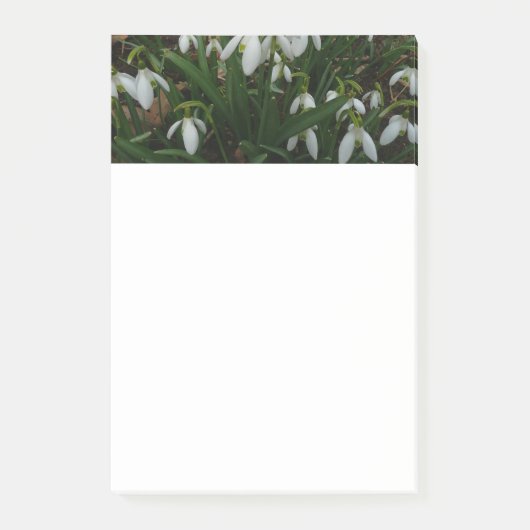 Snowdrops I (Galanthus) Weiße Frühlingsblumen Post-it Klebezettel (Vorderseite)