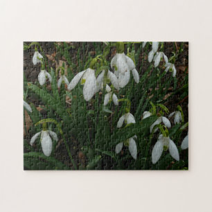 Snowdrops I (Galanthus) Weiße Frühlingsblumen Puzzle