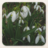 Snowdrops I (Galanthus) Weiße Frühlingsblumen Rechteckiger Pappuntersetzer (Vorderseite)
