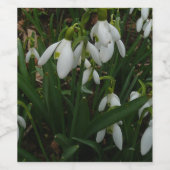 Snowdrops I (Galanthus) Weiße Frühlingsblumen Weinetikett (Einzelnes Label)