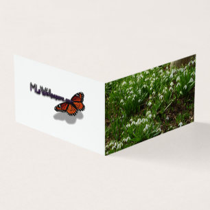 Snowdrops II (Galanthus) Frühlingsflora