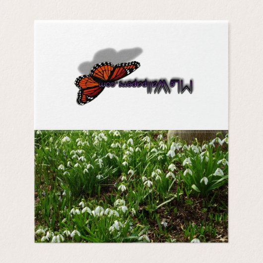 Snowdrops II (Galanthus) Frühlingsflora (Außenseite Aufgefaltet)